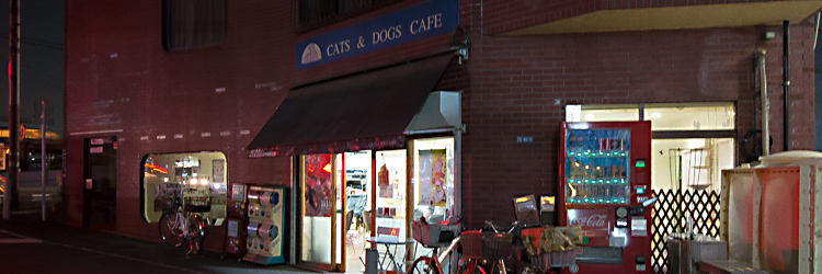猫カフェ「CATS&DOGS CAFE」